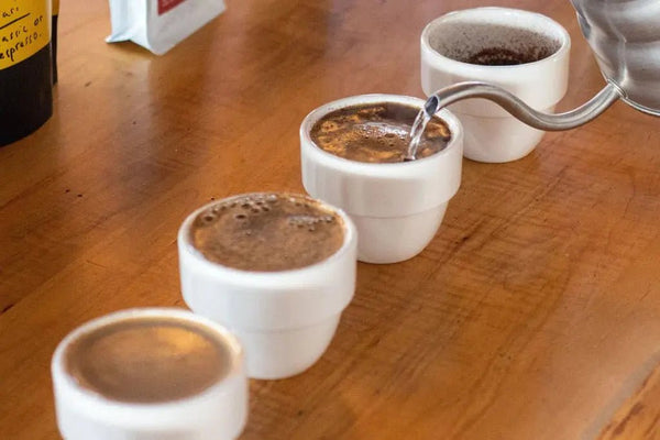 Degustacija - Barista ir Espresso