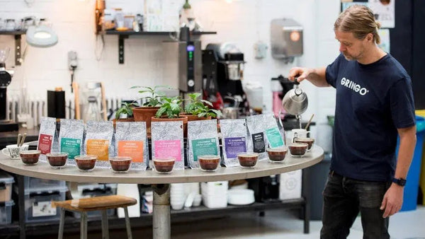 Gringo Nordic Skrudintojai – Barista ir Espresso