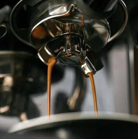 Populiaru – Barista ir Espresso