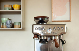 Rankenų rinkinys Sage Barista Express, Profesionalus ir lietimui jautrus