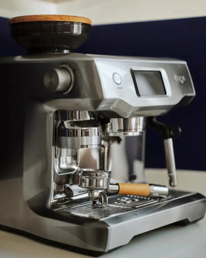 BAARK medinė dangtelis – The Bean II Sage pupelių talpyklai - Barista ir Espresso