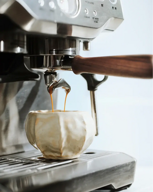 Portafilter Sage Barista serijai (54 mm) – Barista ir Espresso