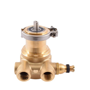 ROTOFLOW STANDARTINĖ SIURBLIO GALVUTĖ 200 L/H - 3/8 NFT - Barista ir Espresso