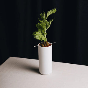 Tajimi Hög Tumbler 330ml 6 - pack - Barista och Espresso